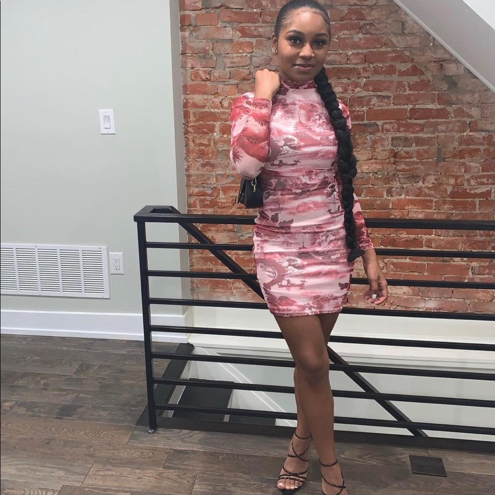 PLT Pink Mesh Dress